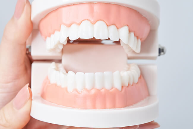 当院の入れ歯（義歯）治療の特長