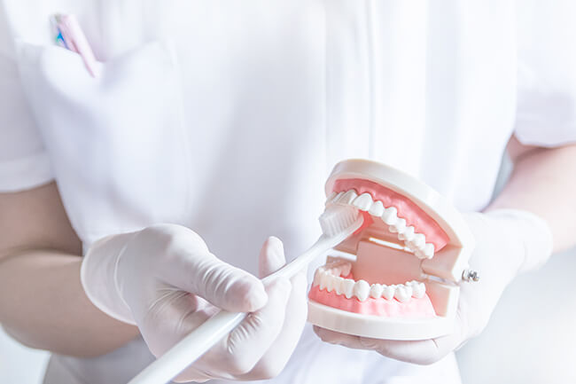 当院の予防歯科の特長